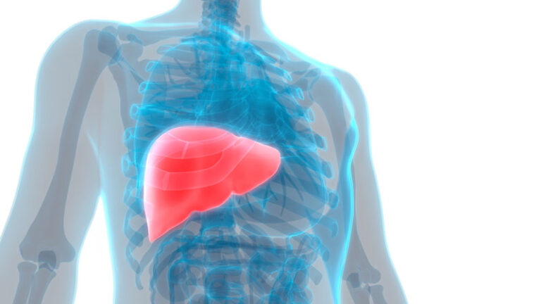 How To Protect Our Liver Health And Treatment In Ayurveda For Liver Disorder – Dr.Mini nair
