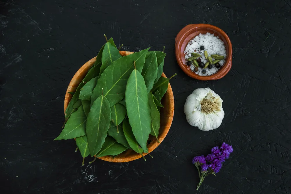 Ayurvedic Herbs That Promote Longevity and Vitality