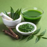 Ayurvedic Benefits of Neem – Nature’s Most Powerful Purifying Herb