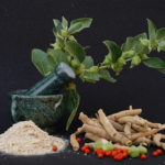 Ayurvedic Herb Spotlight: Why Ashwagandha Is a Must for Modern Lifestyles