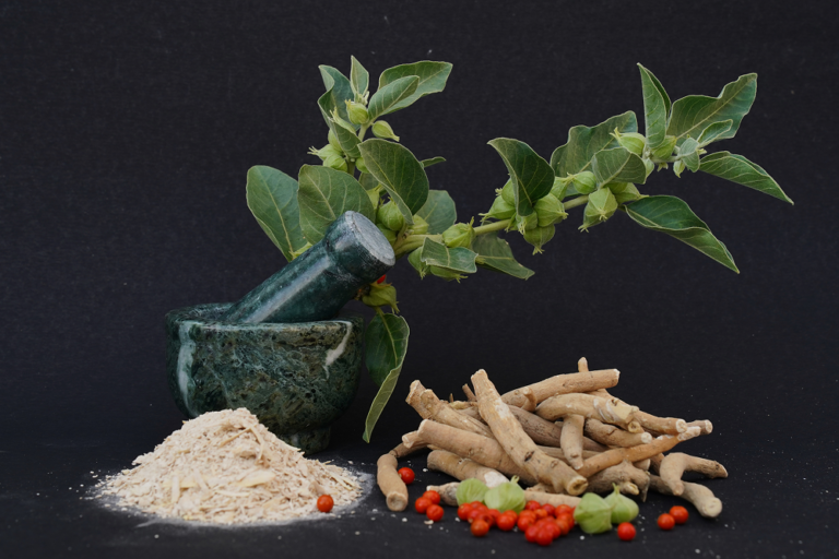 Ayurvedic Herb Spotlight: Why Ashwagandha Is a Must for Modern Lifestyles