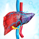 Ayurvedic Treatment for Liver Disorders in Bangalore – Heal Your Liver Naturally