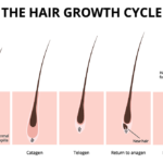 Ayurvedic Remedies for Hair Regrowth: Natural Solutions for Stronger, Healthier Hair